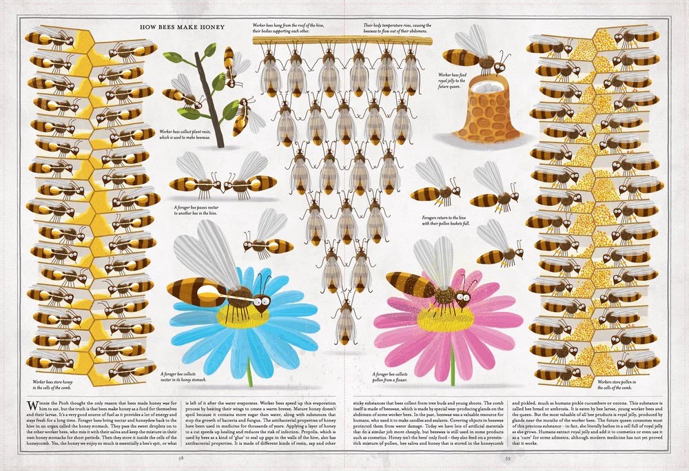 An excerpt from the book of bees translated by Agnes Monod-Gayraud